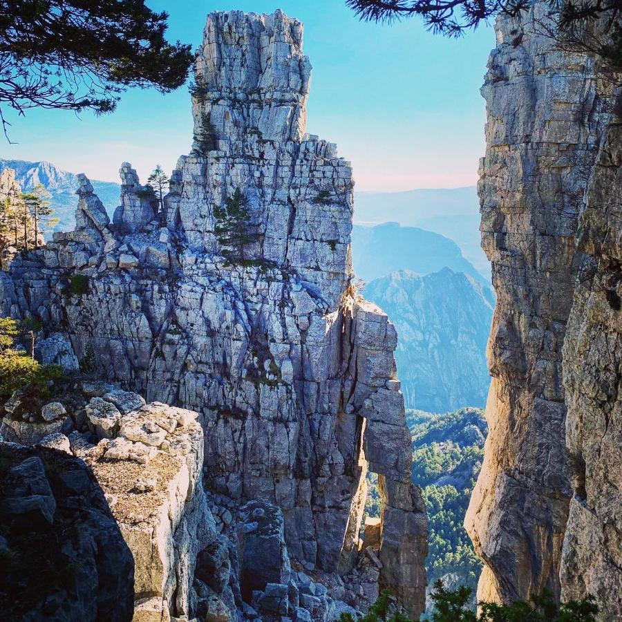 Gite D'Etape Bastide Petra Castellana Verdon กาสเตลลาน ภายนอก รูปภาพ
